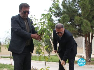 کاشت نهال امید در مرودشت به یاد شهدا