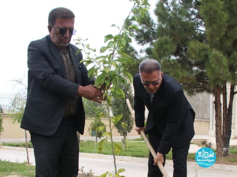 کاشت نهال امید در مرودشت به یاد شهدا