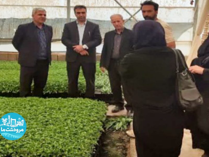 توسعه توانمندسازی زنان روستایی در سیدان