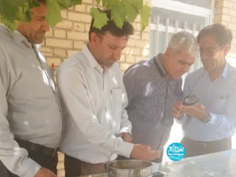 روند خرید تضمینی گندم باید تسریع شود